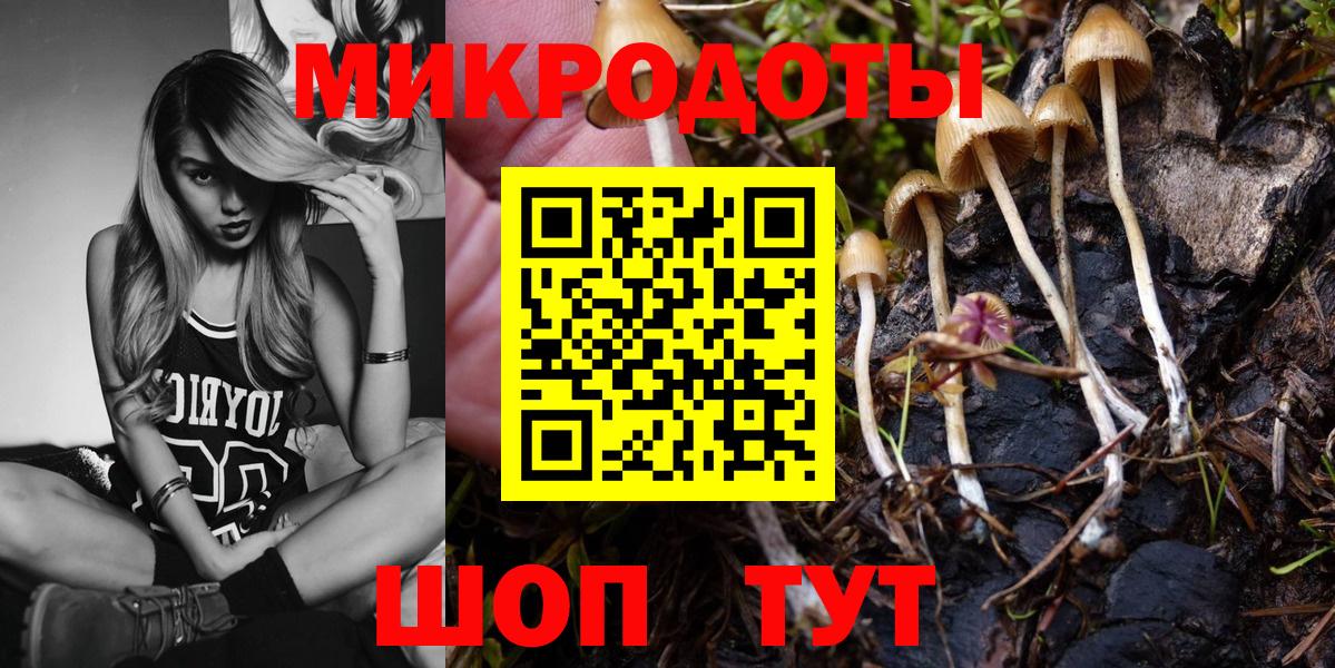 Галлюциногенные грибы Cubensis  Вход с VPN  Ярославль 